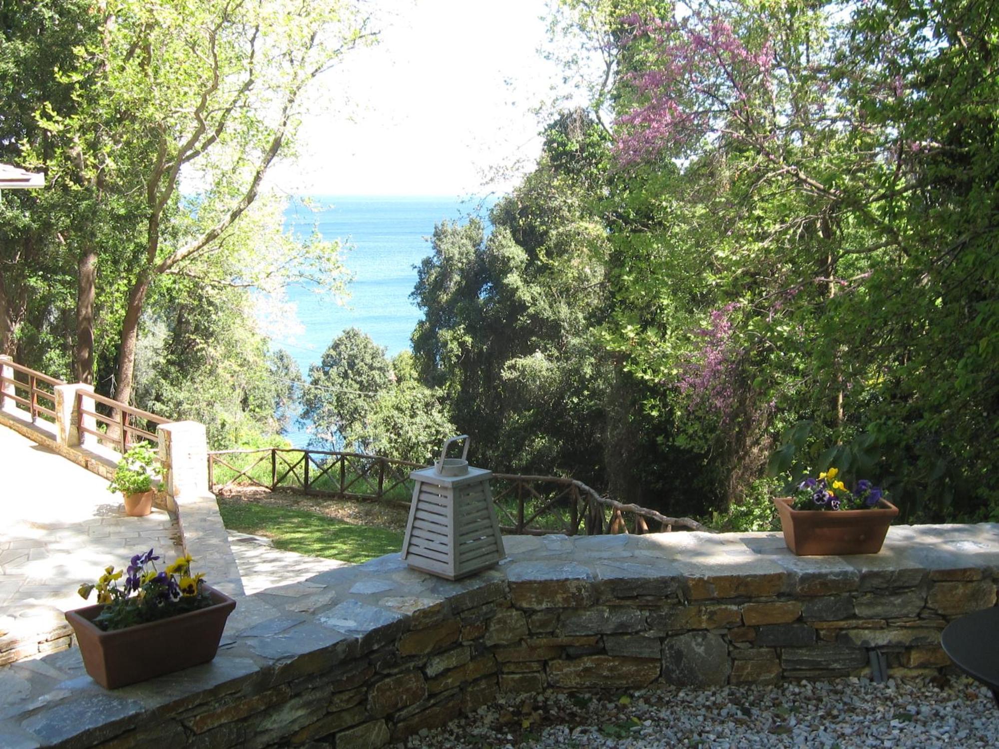 Vergopoulos Oliveyard Муреси Экстерьер фото